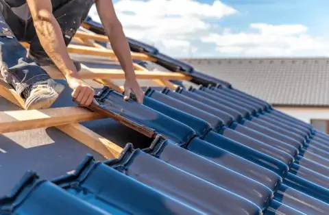 Couverture - Le Mené